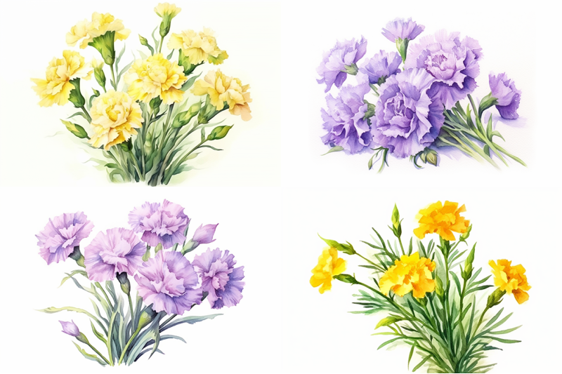radiant-blossoms-watercolor-carnation