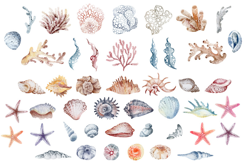 watercolor-set-of-sea-shells-46-png-elements