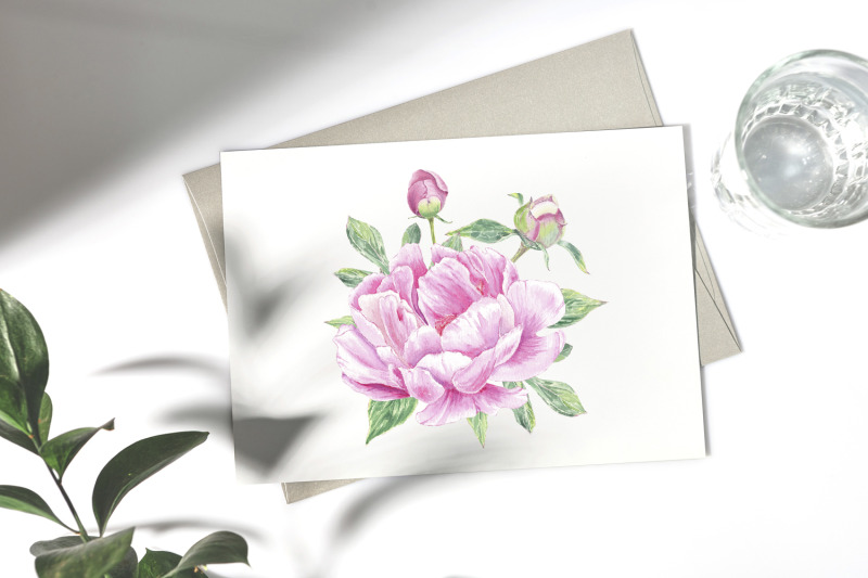 watercolor-peony-pink-flowers-sublimation-png-jpg