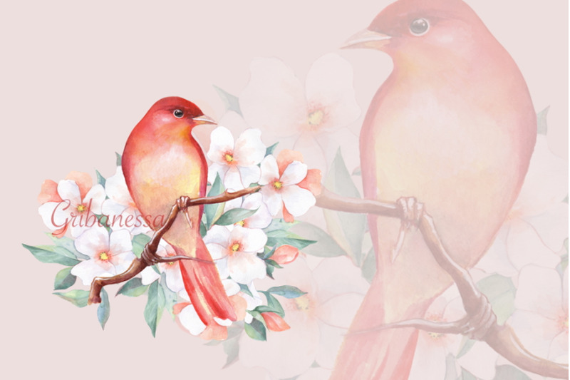 bird-floral-sublimation-red-watercolor-bird-png