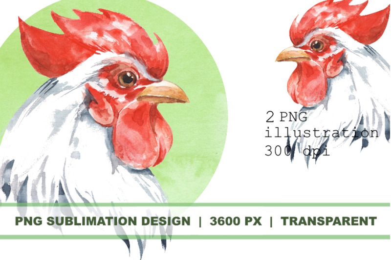 rooster-watercolor-sublimation-png