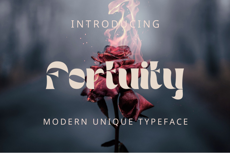 fortuity-modern-unique-typeface