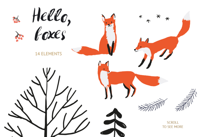 hello-foxes