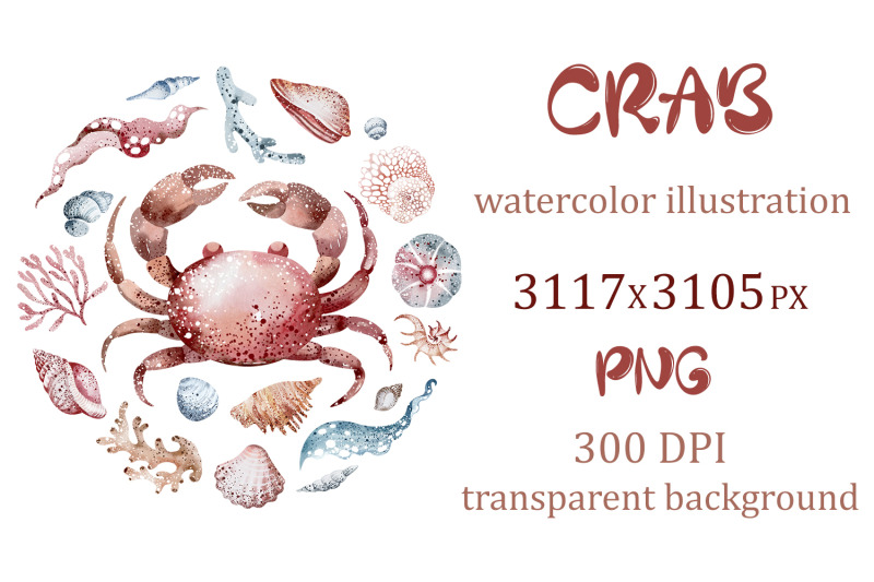 crab-illustration-sublimation-design-sea-animals