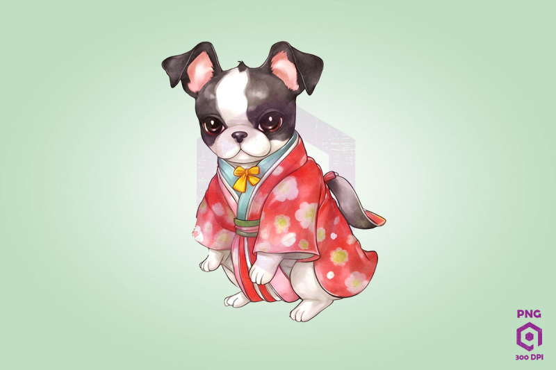 boston-terrier-wearing-hanbok