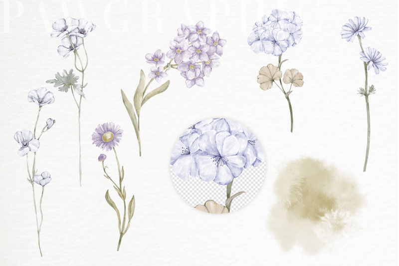 wild-flowers-clipart-blue-floral-pattern