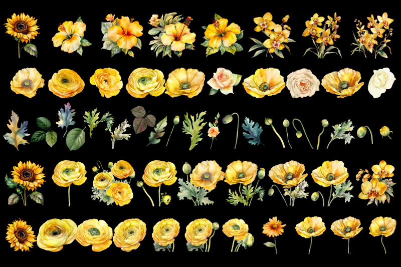 yellow-flower-watercolor-clipart-collection-bundle