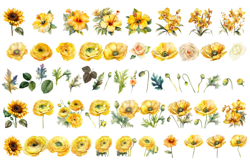 yellow-flower-watercolor-clipart-collection-bundle