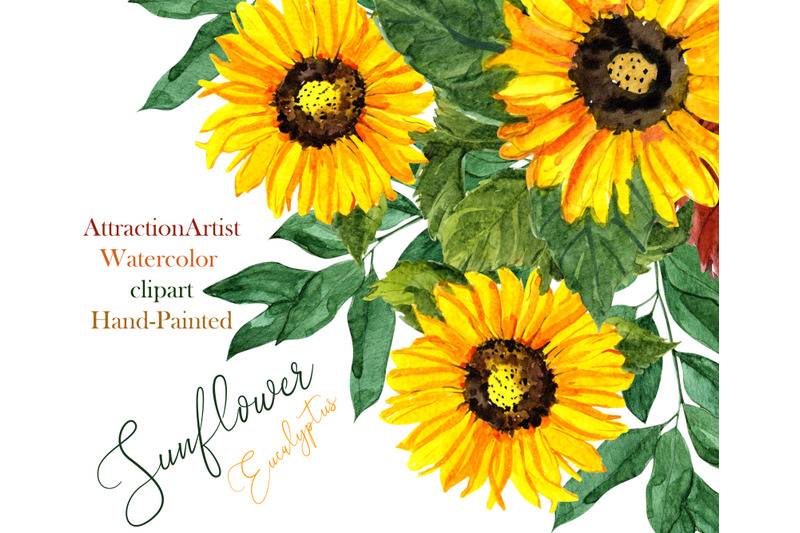 watercolor-sunflower-and-eucalyptus-clipart-set-for-invitations-weddings-and-crafts-hand-painted-greenery-and-bohemian-boho-flowers