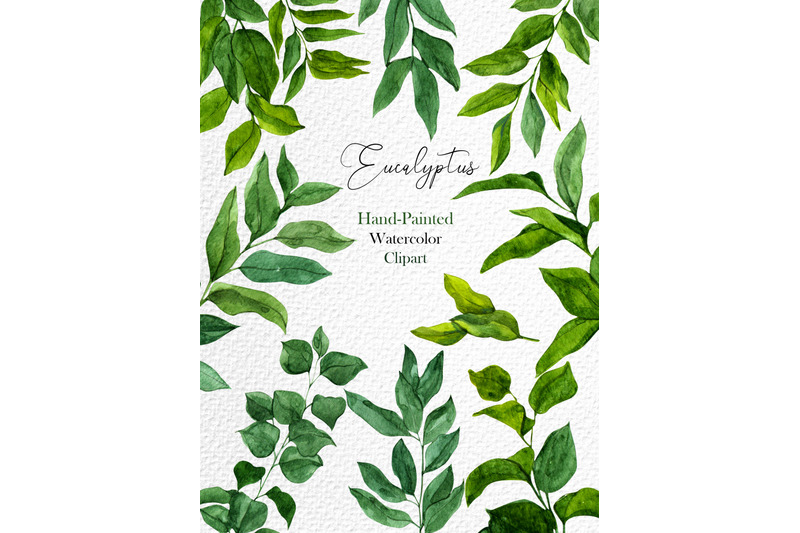 eucalyptus-watercolor-floral-clipart-with-individual-elements-vibrant