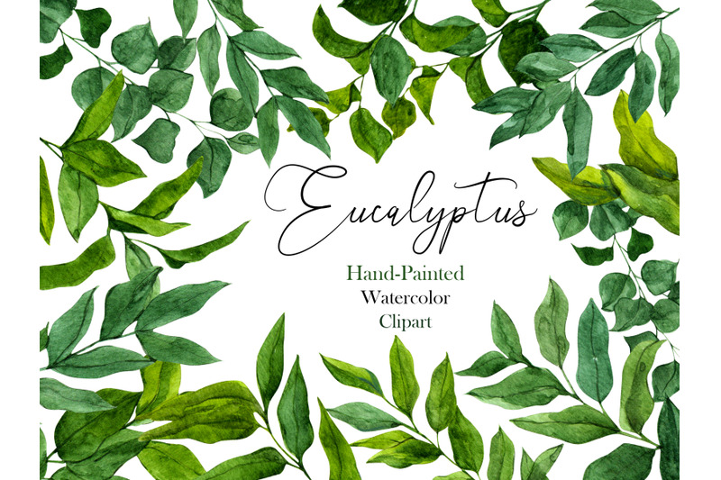 eucalyptus-watercolor-floral-clipart-with-individual-elements-vibrant