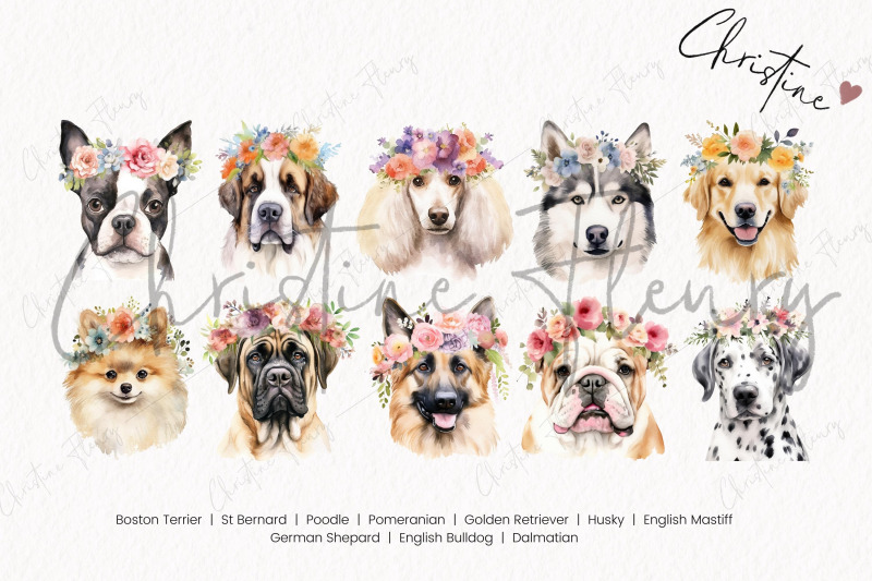 watercolor-dog-breeds-with-flower-crowns-part-1