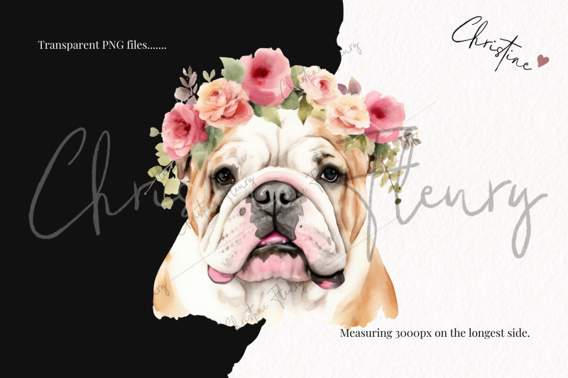 watercolor-dog-breeds-with-flower-crowns-part-1