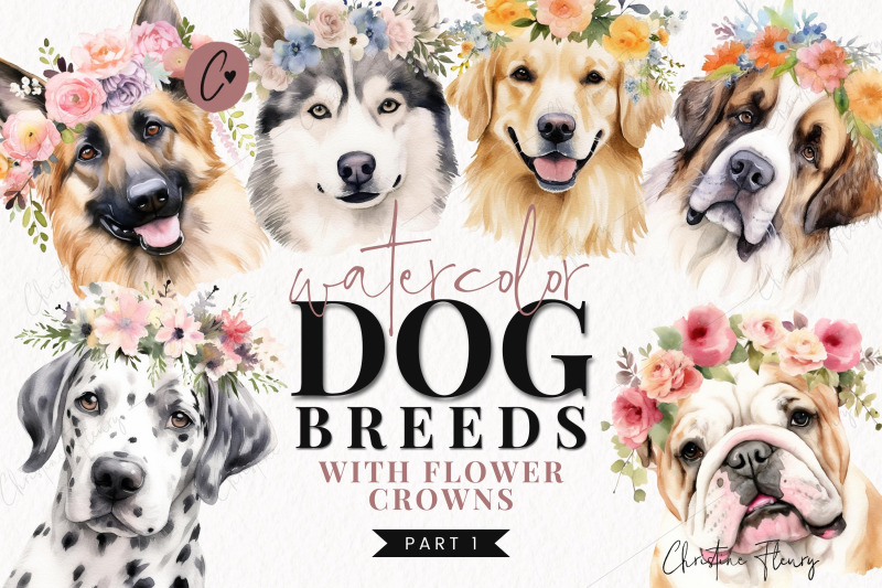 watercolor-dog-breeds-with-flower-crowns-part-1