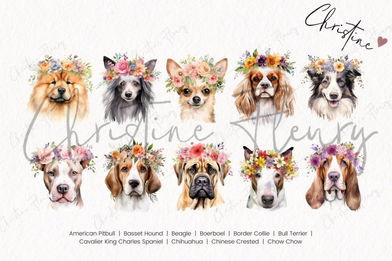 watercolor-dog-breeds-with-flower-crowns-part-2