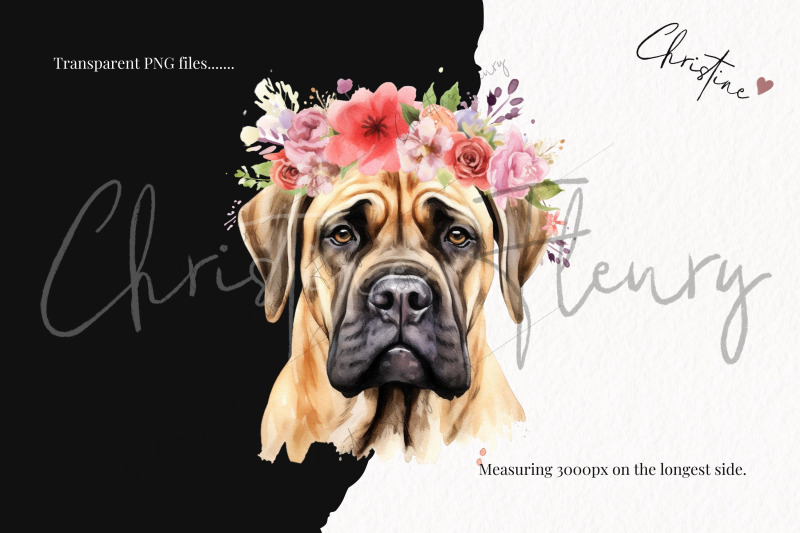 watercolor-dog-breeds-with-flower-crowns-part-2