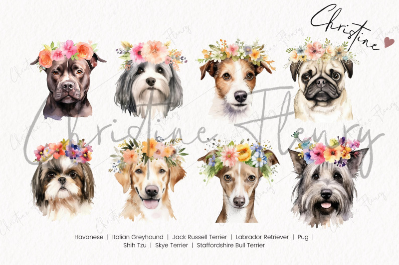 watercolor-dog-breeds-with-flower-crowns-part-3