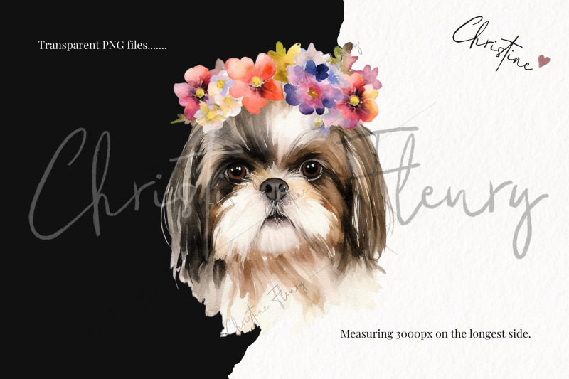 watercolor-dog-breeds-with-flower-crowns-part-3