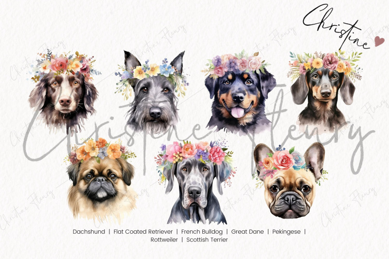 watercolor-dog-breeds-with-flower-crowns-part-4