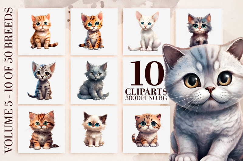 watercolor-cat-breeds-clipart-50-kitten-pngs-sublimation