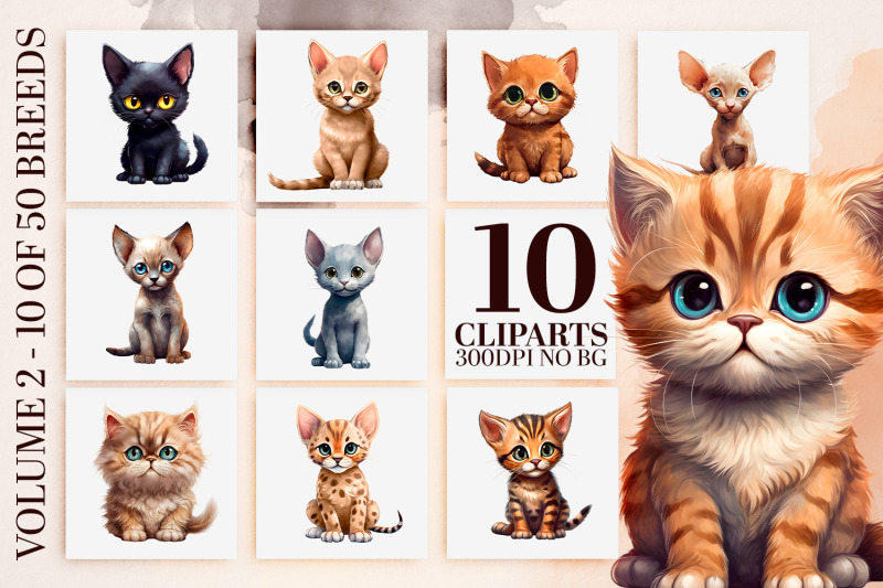 watercolor-cat-breeds-clipart-50-kitten-pngs-sublimation