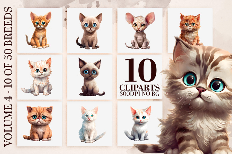 watercolor-cat-breeds-clipart-50-kitten-pngs-sublimation