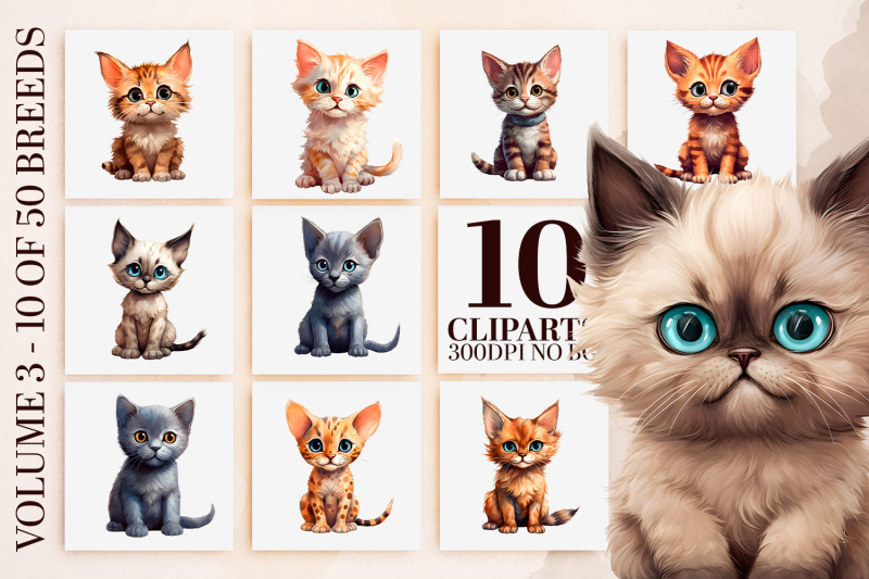 watercolor-cat-breeds-clipart-50-kitten-pngs-sublimation