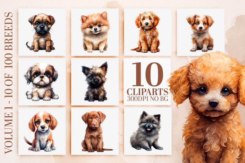 adorable-watercolor-dog-breeds-clipart-bundle-cute-png