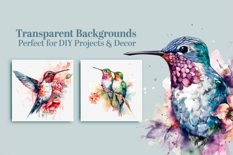 hummingbird-png-bundle-15-watercolor-bird-clipart-images