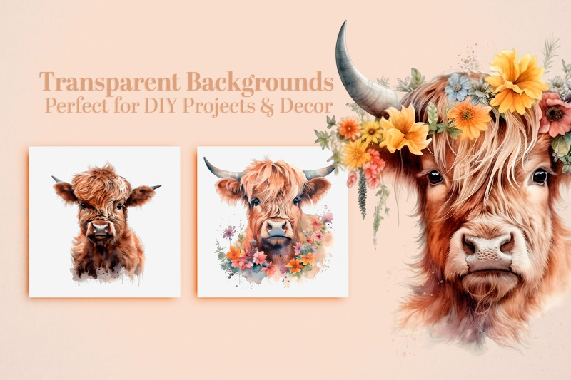 15-baby-highland-cow-png-bundle-clipart-nursery-decor