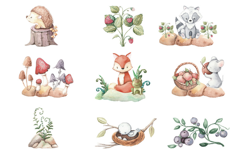 woodland-animals-clipart-forest-cute-baby-animals-clipart