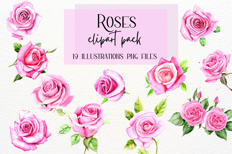 watercolor-roses-roses-illustrations