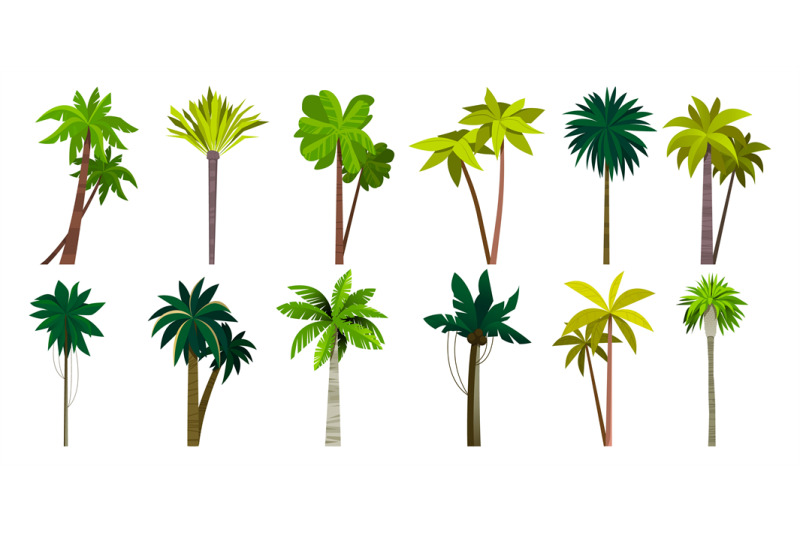 palm-tree-collection-cartoon-tropical-coconut-and-banana-plant-islan