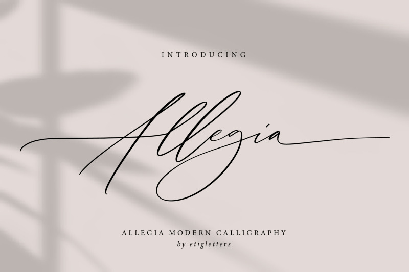 allegia-handwritten-wedding-font
