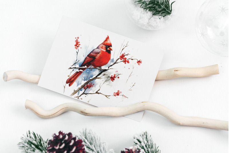 watercolor-cardinal-bird-clipart-bundle