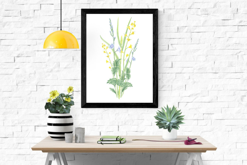 watercolor-clipart-flowers-illustration-for-art-design-png