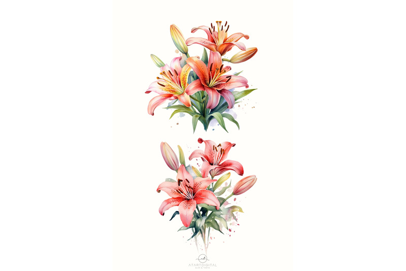 watercolor-lilies-flowers-png-clipart