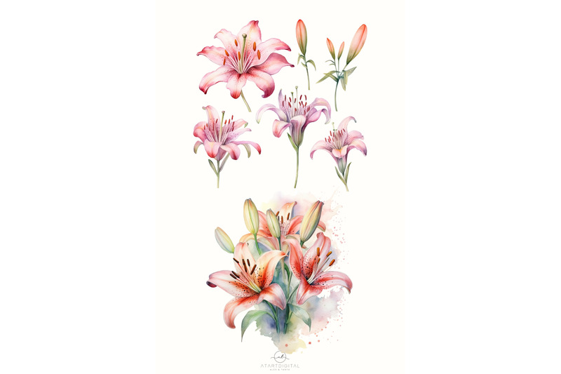 watercolor-lilies-flowers-png-clipart