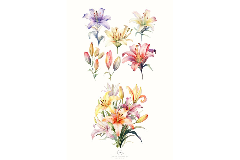 watercolor-lilies-flowers-png-clipart