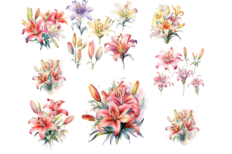 watercolor-lilies-flowers-png-clipart