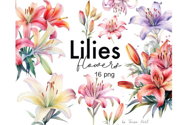 watercolor-lilies-flowers-png-clipart