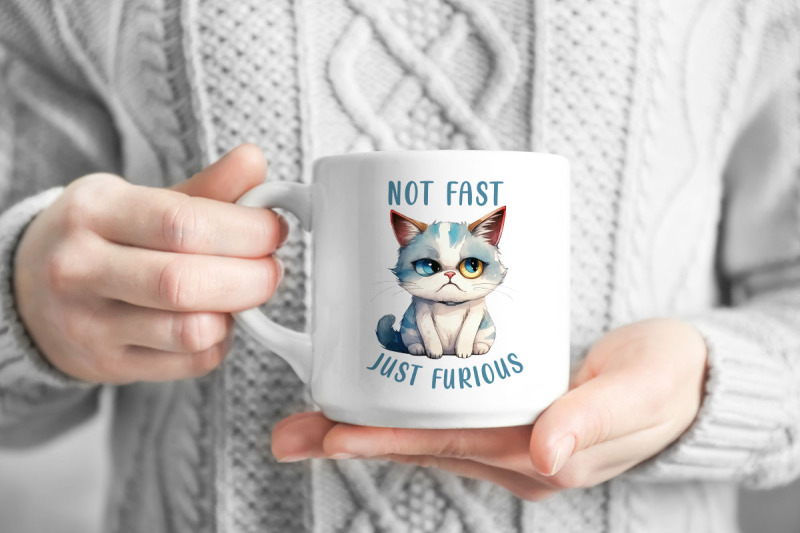 not-fast-just-furious-funny-cat