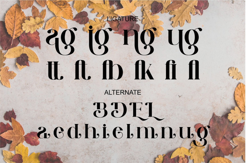 dieng-unique-ligature-serif-typeface