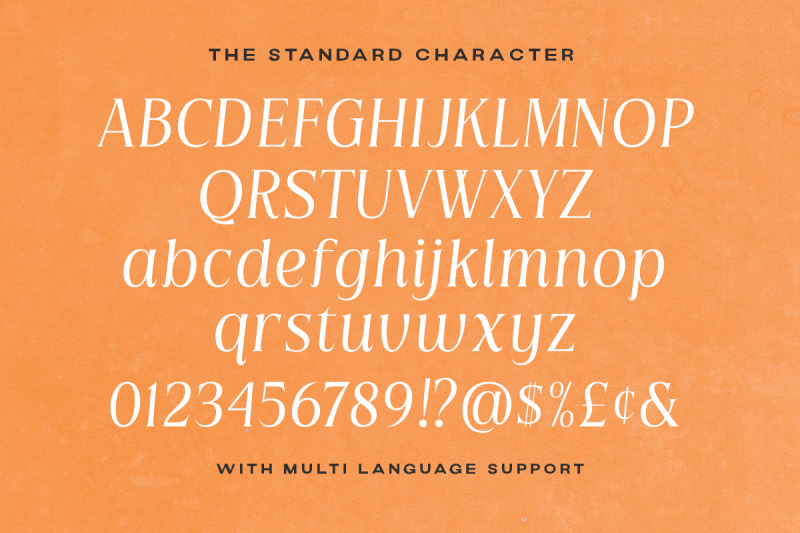 mindstay-elegant-vintage-serif