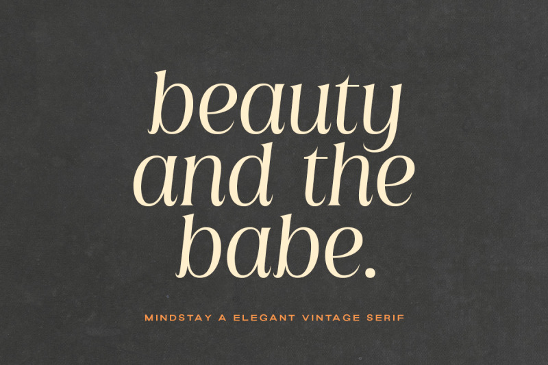 mindstay-elegant-vintage-serif