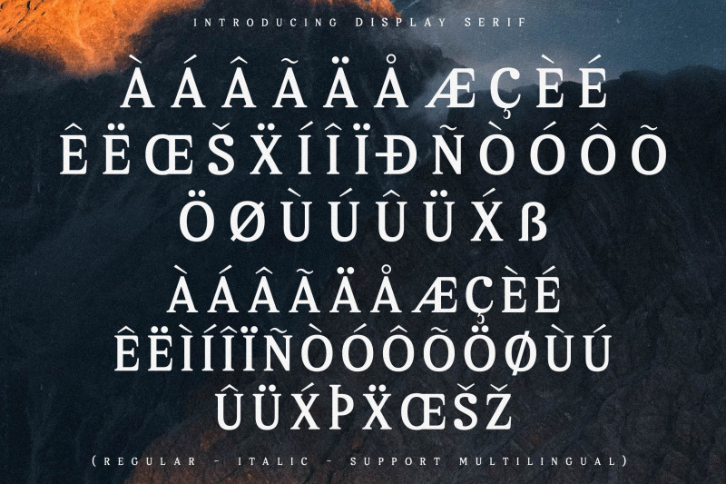 melton-bronze-timeless-typeface