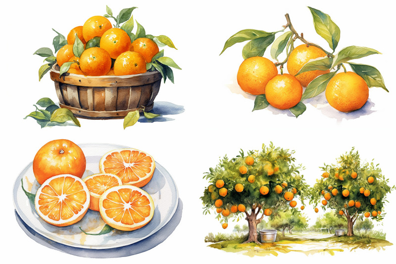 orange-fruit-watercolor-collection