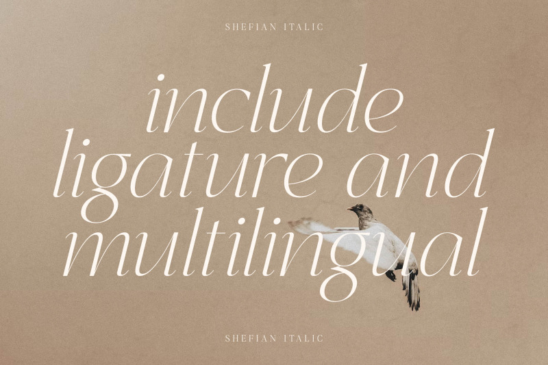 shefian-typeface