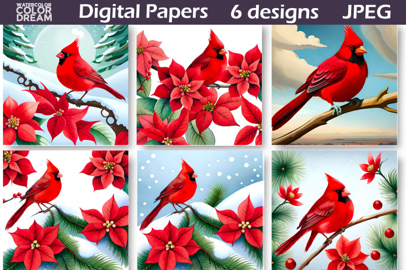 cardinal-poinsettia-digital-paper-christmas-illustration