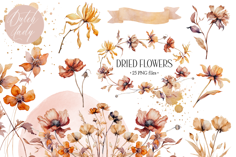watercolor-dried-flower-clipart-set